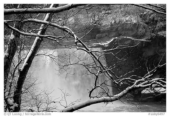 Snow-covered branch and Cumberland falls. Kentucky, USA (black and white)