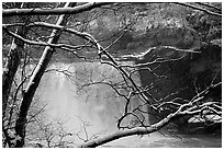 Snow-covered branch and Cumberland falls. Kentucky, USA ( black and white)