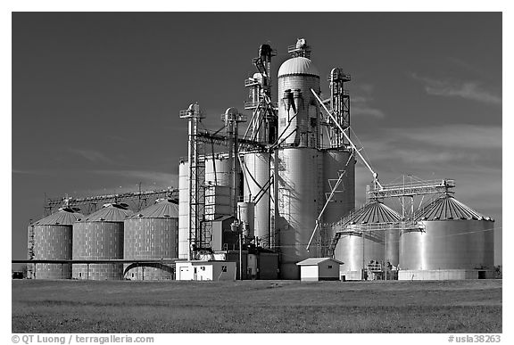 Grain elevator. Louisiana, USA