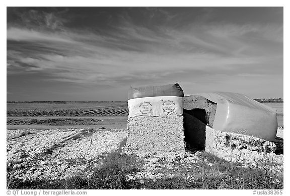 Modules of cotton stored at edge of field. Louisiana, USA (black and white)