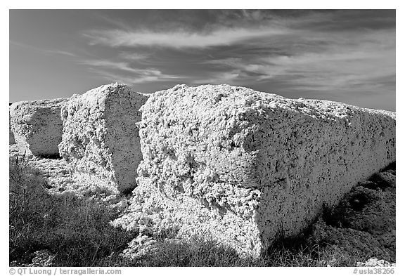 Cotton modules. Louisiana, USA (black and white)