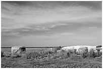 Harvested cotton modules. Louisiana, USA ( black and white)