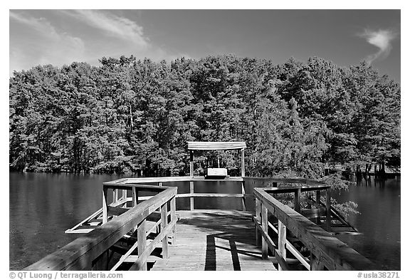 Boardwalk and cypress,  Lake Providence. Louisiana, USA (black and white)