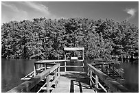 Boardwalk and cypress,  Lake Providence. Louisiana, USA (black and white)