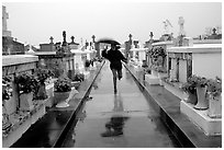 Rain in Saint Louis cemetery. New Orleans, Louisiana, USA ( black and white)