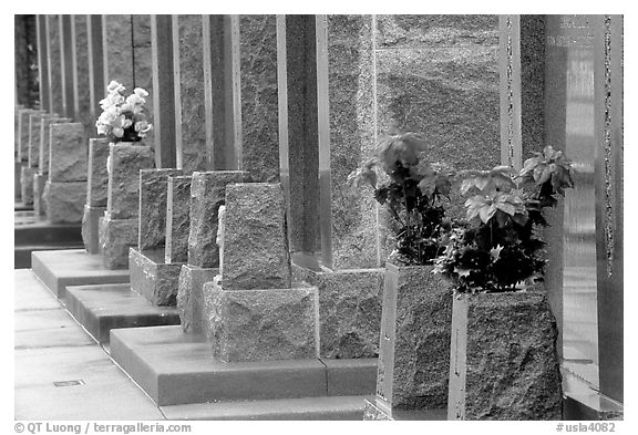 Flowers and tombs in Saint Louis cemetery. New Orleans, Louisiana, USA (black and white)