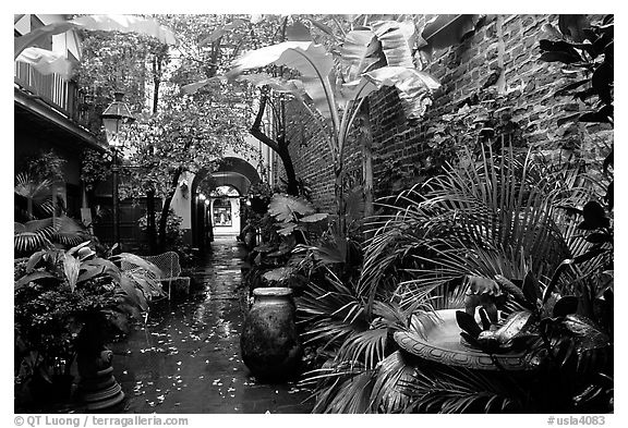 An inside courtyard in the French Quarter. New Orleans, Louisiana, USA