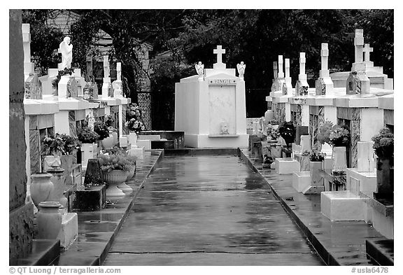 Tombs in Saint Louis cemetery. New Orleans, Louisiana, USA (black and white)