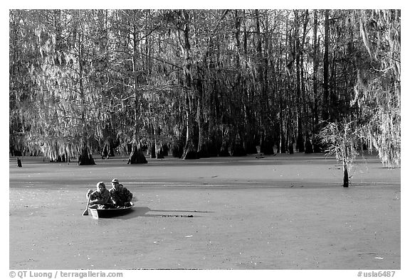 Boat on the swamp, Lake Martin. Louisiana, USA