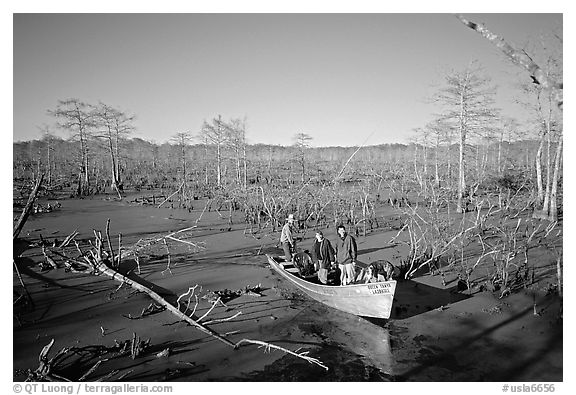 Touring the swamp, Lake Martin. Louisiana, USA (black and white)