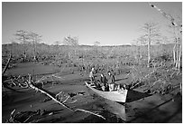 Touring the swamp, Lake Martin. Louisiana, USA ( black and white)