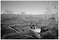 Touring the swamp, Lake Martin. Louisiana, USA (black and white)