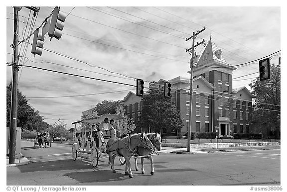 Horse carriage at street intersection. Vicksburg, Mississippi, USA