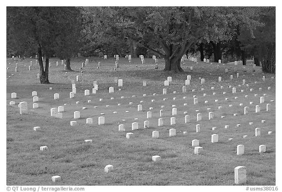 Headstones and trees, Vicksburg National Military Park. Vicksburg, Mississippi, USA (black and white)