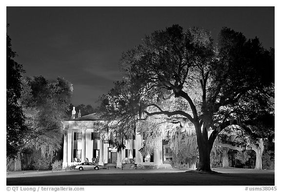 Antebellum mansion set in garden with  backlit oak tree at night. Natchez, Mississippi, USA (black and white)