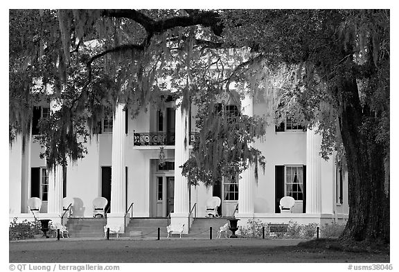 Antebellum house and live oak tree. Natchez, Mississippi, USA