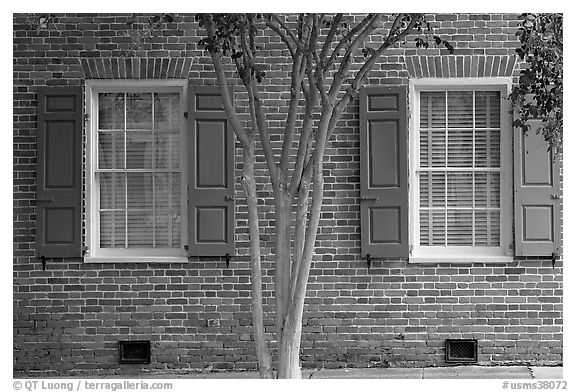 Tree and red brick facade of Texada. Natchez, Mississippi, USA