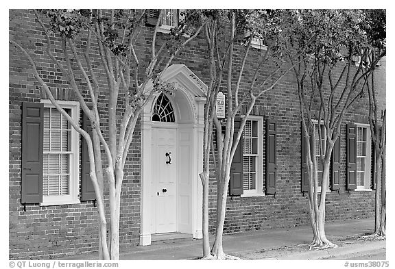 Rows of trees and Texada house. Natchez, Mississippi, USA (black and white)