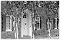 Rows of trees and Texada house. Natchez, Mississippi, USA (black and white)