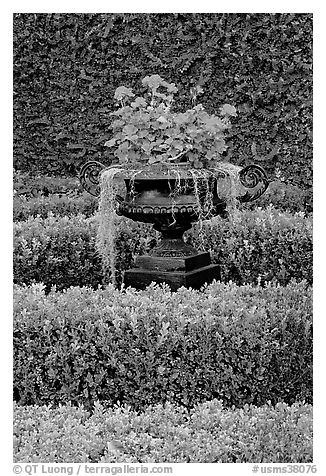 Vasque with flowers and spanish moss in garden. Natchez, Mississippi, USA