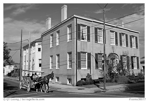 Horse carriage in the historic district. Natchez, Mississippi, USA (black and white)