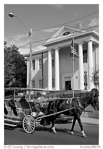 Horse carriage and courthouse. Natchez, Mississippi, USA (black and white)