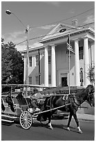 Horse carriage and courthouse. Natchez, Mississippi, USA ( black and white)