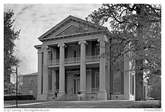 Magnolia Hall, morning. Natchez, Mississippi, USA (black and white)