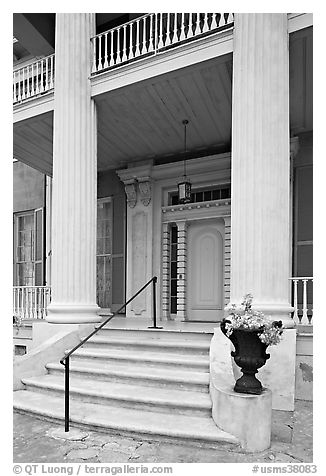 Entrance stairs, door, and columns, Magnolia Hall. Natchez, Mississippi, USA (black and white)