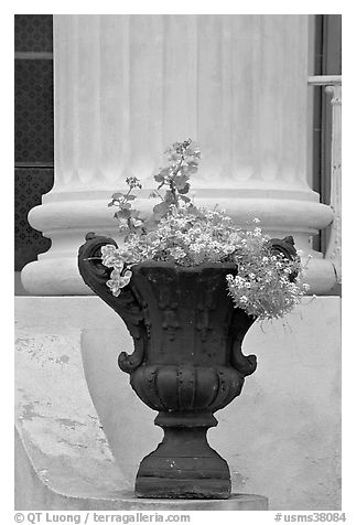 Vasque and column, Magnolia Hall. Natchez, Mississippi, USA (black and white)