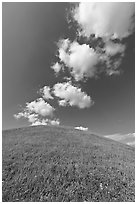 Rounded hill and clouds,  Emerald Mound. Natchez Trace Parkway, Mississippi, USA ( black and white)