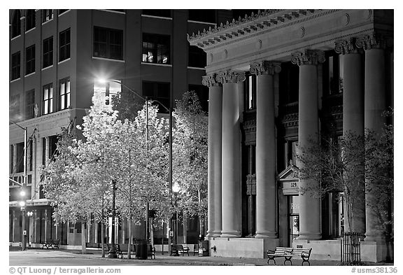 Trees in fall colors and greek revival building at night. Jackson, Mississippi, USA (black and white)