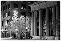Trees in fall colors and greek revival building at night. Jackson, Mississippi, USA ( black and white)
