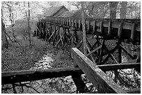 Mabry Mill, Blue Ridge Parkway. Virginia, USA (black and white)