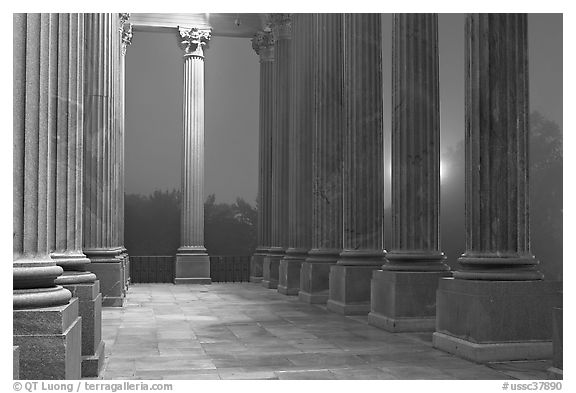 Columns and fog by night, state capitol. Columbia, South Carolina, USA