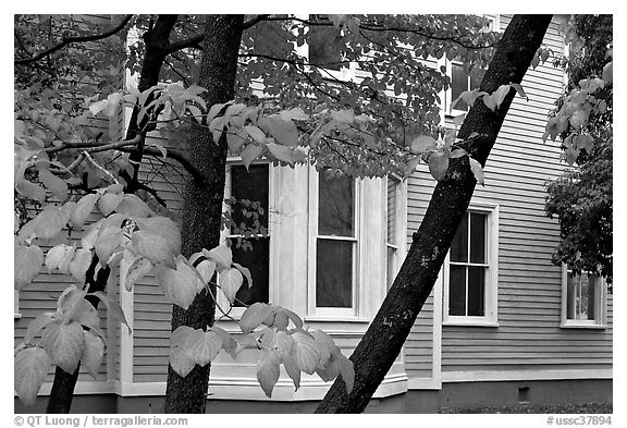 Leaves and house detail. Columbia, South Carolina, USA