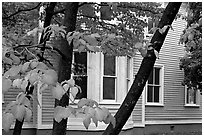 Leaves and house detail. Columbia, South Carolina, USA (black and white)