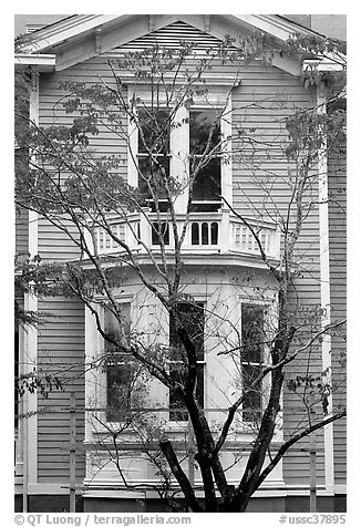 Tree in fall color and house. Columbia, South Carolina, USA (black and white)