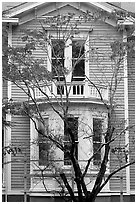 Tree in fall color and house. Columbia, South Carolina, USA ( black and white)