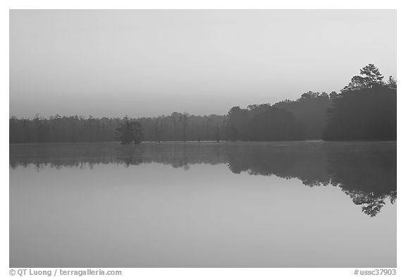 Lake at dawn. South Carolina, USA (black and white)