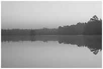 Lake at dawn. South Carolina, USA ( black and white)