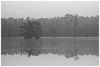 Lake with cypress and dawn. South Carolina, USA (black and white)