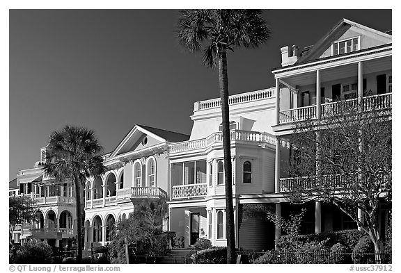 Row of Antebellum mansions. Charleston, South Carolina, USA