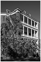 Historic antebellum mansion. Charleston, South Carolina, USA (black and white)