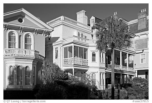 Antebellum architecture. Charleston, South Carolina, USA (black and white)