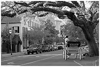 Street and horse carriage. Charleston, South Carolina, USA ( black and white)