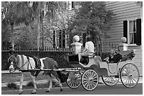 Couple on horse carriage tour of historic district. Charleston, South Carolina, USA (black and white)