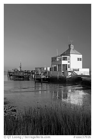 Grasses and harbor house. Charleston, South Carolina, USA