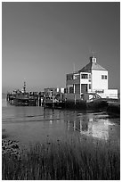 Grasses and harbor house. Charleston, South Carolina, USA (black and white)