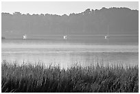 Beaufort Bay, with grasses and yachts. Beaufort, South Carolina, USA ( black and white)